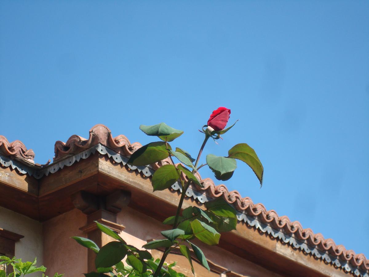 Oikia Alexandrou Traditional Inn Arnea Buitenkant foto