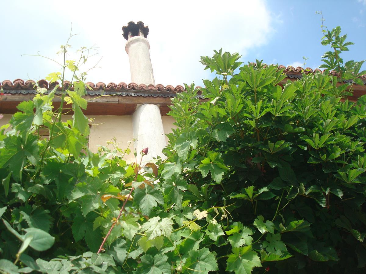 Oikia Alexandrou Traditional Inn Arnea Buitenkant foto