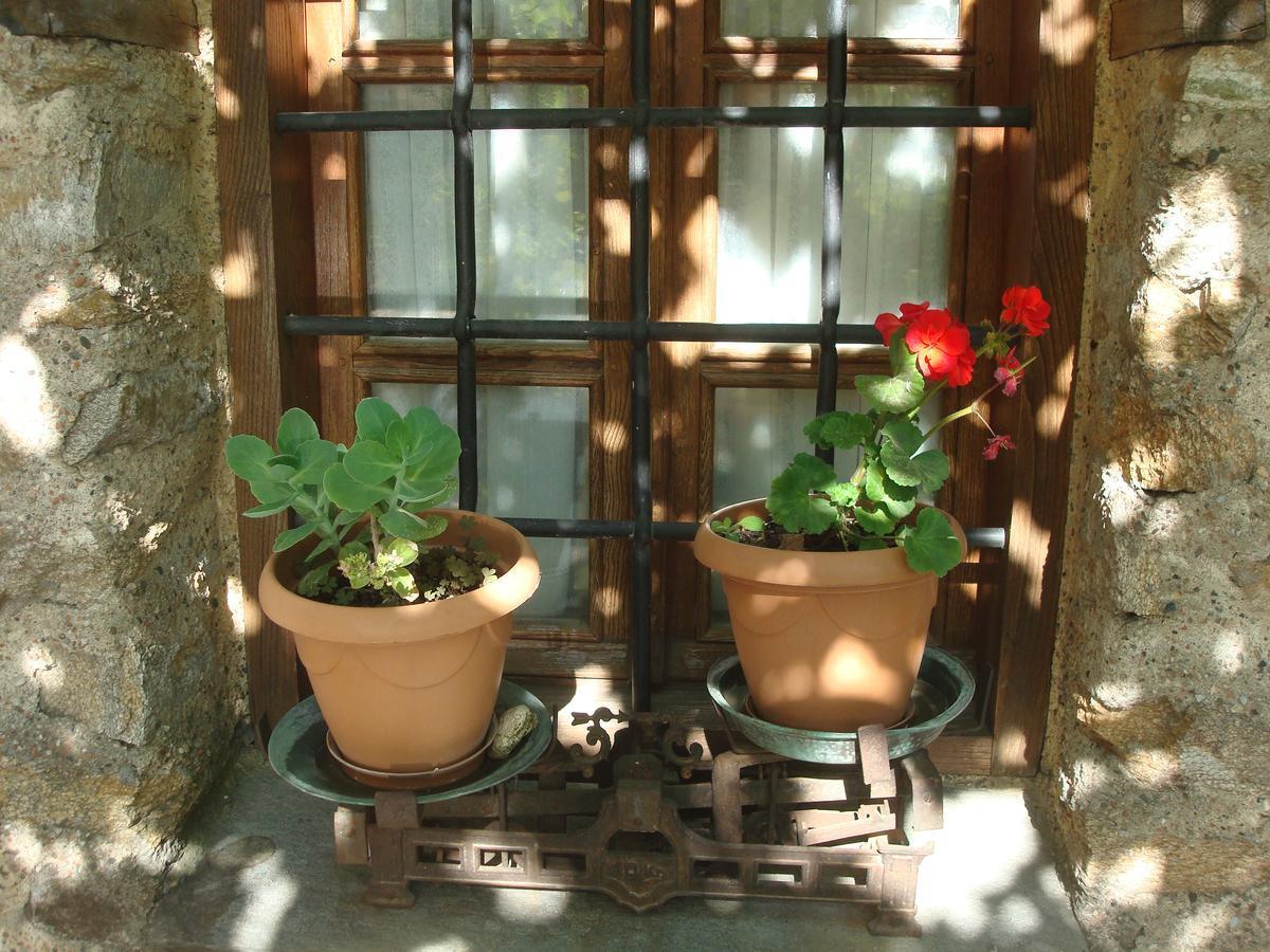 Oikia Alexandrou Traditional Inn Arnea Buitenkant foto